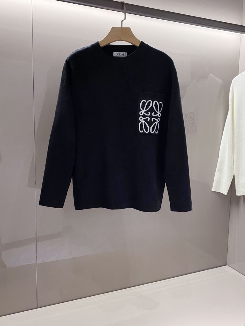 Loewe Sweaters